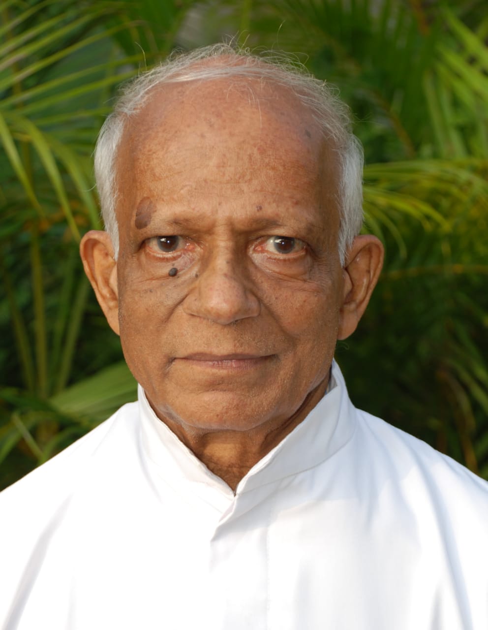 Rev. Fr. George Kasamkulam CMI (79) 